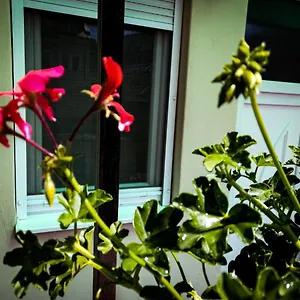 Apartman érsek